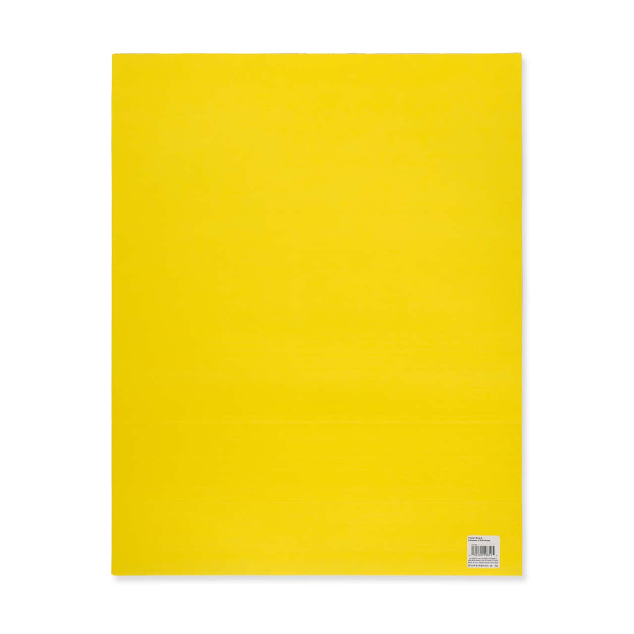 22" x 28" Poster Board by Creatology™